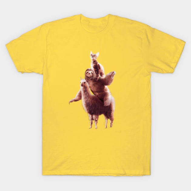 Cat Riding Sloth Riding Llama T-Shirt by Random Galaxy